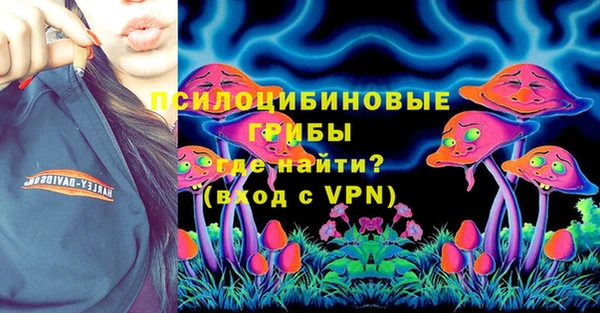 прущие крисы Горняк