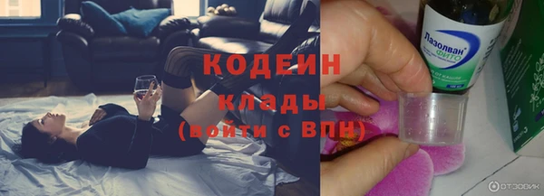 прущие крисы Горняк