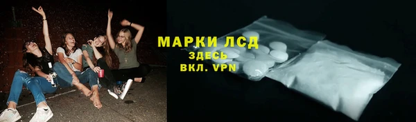 прущие крисы Горняк