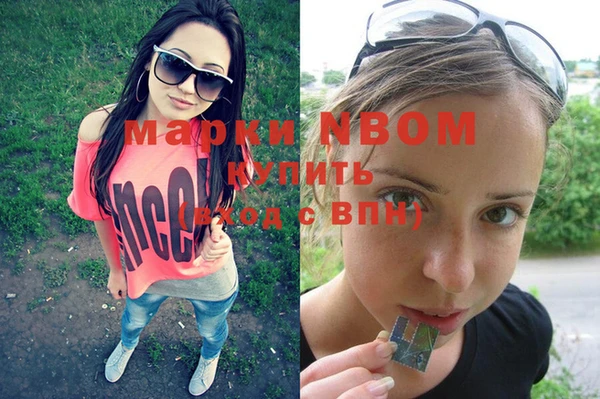 прущие крисы Горняк