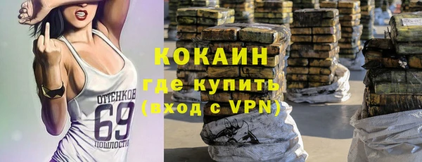прущие крисы Горняк